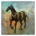 Masterpiece Art Gallery Traveler II Horse By Maeve Harris Canvas Art Print 35 x 35