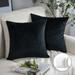 Phantoscope Soft Silky Velvet Series Square Decorative Throw Pillow Cushion for Couch 20 x 20 Black 2 Pack