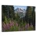 30 x 40 in. Fireweed Flowering & Mount Rainier Mount Rainier National Park Washington Art Print - Tim Fitzharris