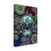 Trademark Fine Art Sugar Skull Sombrero Night Canvas Art by Fusion Idol Arts