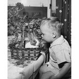 Side profile of a boy sitting near an Easter basket Poster Print (18 x 24)