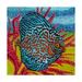 Trademark Fine Art Brilliant Tropical Fish II Canvas Art by Carolee Vitaletti