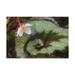 Trademark Fine Art Swirling Nature of the Escargo Begonia Canvas Art by Kurt Shaffer