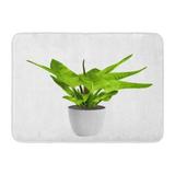 GODPOK Beautiful Green Plant Bird Nest Fern Tropical Tree Planted Ceramic Pot White 3D Rendering Asplenium Bio Rug Doormat Bath Mat 23.6x15.7 inch