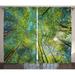 Forest Home Decor Curtains 2 Panels Set Evergreen Back Nature Area Mother Earth Lime Trunk Mangrove Flora Willow Decor Window Drapes for Living Room Bedroom 108W X 84L Inches Green by Ambesonne