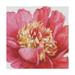 Trademark Fine Art Pink Garden V Canvas Art by Lisa Audit