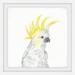 Marmont Hill Mh-Thispa-5009-Wfpfl-32 32 X 32 Cockatoo Ii Framed Giclee Painting On