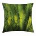 Palm Tree Decor Throw Pillow Cushion Cover Plam Tree Foliage Tropical Plant Leaves Forest Theme Exotic Natural Beauty Image Decorative Square Accent Pillow Case 18 X 18 Inches Green by Ambesonne