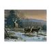 Trademark Fine Art Prime Time Whitetail Deer Canvas Art by Wilhelm Goebel