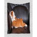 English Bulldog Tapestry Puppy Resting on a Sofa Funny Animal Photography Cute Canine Wall Hanging for Bedroom Living Room Dorm Decor 60W X 80L Inches Seal Brown White Brown by Ambesonne