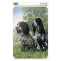 Pair of English Cocker Spaniel Dogs Home Business Office Sign