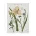 Trademark Fine Art Vintage Floral II Neutral Canvas Art by Sue Schlabach