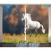 Animal Decor Curtains 2 Panels Set Andalusian Horse with a Majestic Dust Cloud Background Strong Desires Sign Photo Living Room Bedroom Accessories 108 X 90 Inches by Ambesonne