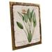 Framed Outdoor Vintage Flower Encyclopedia Bird of Paradise 9 x12 Metal Sign Wall Decor for Home and Office Hand-Crafted from reclaimed materials