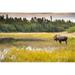 Posterazzi Bull Moose in Velvet Wades in Marshy Wetlands Kincaid Park Anchorage Alaska Summer Poster Print by Michael Jones