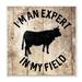 Stupell Industries Expert In My Field Funny Cow Farm Wood Texture Word Design Wall Plaque by Milli Villa 12 x 12 Wall Plaque