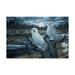 Trademark Fine Art Snowy Owls Canvas Art by Jeff Tift