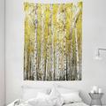 Farm House Decor Wall Hanging Tapestry Autumn Birch Forest Golden Leaves Woodland October Seasonal Nature Picture Bedroom Living Room Dorm Accessories 60 X 80 Inches by Ambesonne