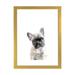 East Urban Home French Bulldog Puppy by Watercolor Luv - Painting Print Paper in White | 24 H x 16 W x 1 D in | Wayfair