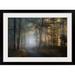 The Twillery Co.® Straub Autumn Symphony by Norbert Maier - Photograph Metal in Green | 32 H x 44 W x 1 D in | Wayfair