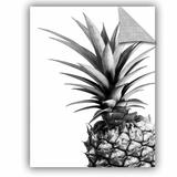 Bay Isle Home™ Glenam Pineapple BW Removable Wall Decal Vinyl in Black/White | 24 H x 18 W in | Wayfair 27BD139F99064DE3B70925E4DDCEC5C3