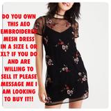 American Eagle Outfitters Dresses | Iso Aeo Embroidered Mesh Dress Sz L Or Xl | Color: Red | Size: L