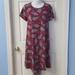 Lularoe Dresses | Disney Lularoe Carly - Kermit The Frog | Color: Gray/Pink | Size: S