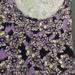 Lularoe Tops | Lularoe Xs Classic T Floral Purple Nwt | Color: Purple | Size: Xs