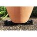 Millwood Pines Frye Resin Bear Pot Planter Feet | 1.5 H x 4 W x 1.5 D in | Wayfair D726294FA7924319B115A7531EA637FA