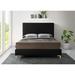 Everly Quinn Low Profile Platform Bed Upholstered/Velvet in Black | 53 H x 59.5 W x 82 D in | Wayfair 616B6DC81E5049C6A47A0D013DF71523