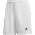 ADIDAS Fußball - Teamsport Textil - Shorts Team 19 Knitted Short Damen, Größe M in Grau