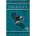 San Jose Sharks 17'' x 26'' Team Coordinates Sign