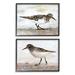 Stupell Industries Sandpipers on Coast Nautical Bird Beach Scene - 2 Piece Graphic Art Print Set Wood in Brown | 14 H x 11 W x 1.5 D in | Wayfair