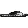 PUMA Herren Flip Flops Epic Flip v2, Größe 42 in Schwarz