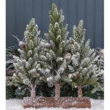 The Holiday Aisle® Flocked Artificial Pine Trees on Wood Base Wood in Brown | 15.7 H x 5.9 W x 12.6 D in | Wayfair 4807C4E1FF2349D88D8404CB16CBCB84