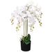 Primrue Artificial Orchid Plant w/ Pot Fake Orchid for Office 29.5" White Plastic | 29.5 H in | Wayfair 1D5EA4F4109C46CAB67CD9D0C0CA7E34