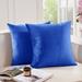 Everly Quinn Nicoletti Square Velvet Pillow Cover Velvet in Blue | 16 H x 16 W x 1 D in | Wayfair BB92CF18C82C40CDBF51BF148AC7E63F