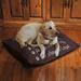 Tucker Murphy Pet™ Alica Fleece Dog Bed Polyester/Fleece in Brown | 10 H x 40 W x 30 D in | Wayfair 35D7C41E7CEC4394A06FB4909674AEB6