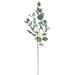 Primrue 37.5" Artificial Silver Dollar Eucalyptus Leaf Plant Plastic in Green/White | 37.5 H x 13.5 W x 13.5 D in | Wayfair
