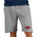 Men's Concepts Sport Gray Arkansas Razorbacks Mainstream Terry Shorts
