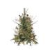 Northlight Seasonal 2' Pre-Lit Country Mixed Pine Artificial Christmas Wall Tree - Clear Lights in Green/White | 24 H x 18 W in | Wayfair 32266100