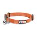 Orange Reflective Safety Buckle Removable Bell Kitten or Cat Collar