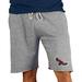 Men's Saint Joseph's Hawks Concepts Sport Gray Mainstream Terry Shorts