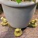 Nichols Bros. Stoneworks Frog Planter Feet Stone in Brown | 2.5 H x 2.25 W x 3.75 D in | Wayfair GNFRPT-TC
