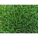 Ruby Turf Artificial Grass Memory 111 Turf | 2 H x 90 W x 24 D in | Wayfair RL-Memory-84-A