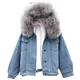 LAEMILIA Women's Denim Jeans Trucker Jacket Sherpa Fleece Lined Faux Fur Trim Hood Warm Coat (White Gray, 10)