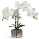 Artificial Orchid White Orchid Plant Artificial Flowers Real Touch Fake Orchid Fake Bonsai With Silver Ceramic Vase Artificial Potted Plant For Home Bedroom Kitchen Bathroom Table Decoration