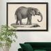 Bungalow Rose Brodtmann Young Elephant - Picture Frame Painting Print on Canvas Canvas, in Gray/Green | 22.5 H x 30.5 W x 1.5 D in | Wayfair