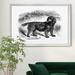 Red Barrel Studio® Sussex Spaniel - Picture Frame Print on Canvas Canvas, Solid Wood in Black | 26.5 H x 36.5 W x 1.5 D in | Wayfair