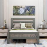 Harriet Bee Brava 2 Drawer Platform Bed Wood in Gray | 33 H x 39 W x 76 D in | Wayfair F7D863CA6C264B809F520605E55D2709